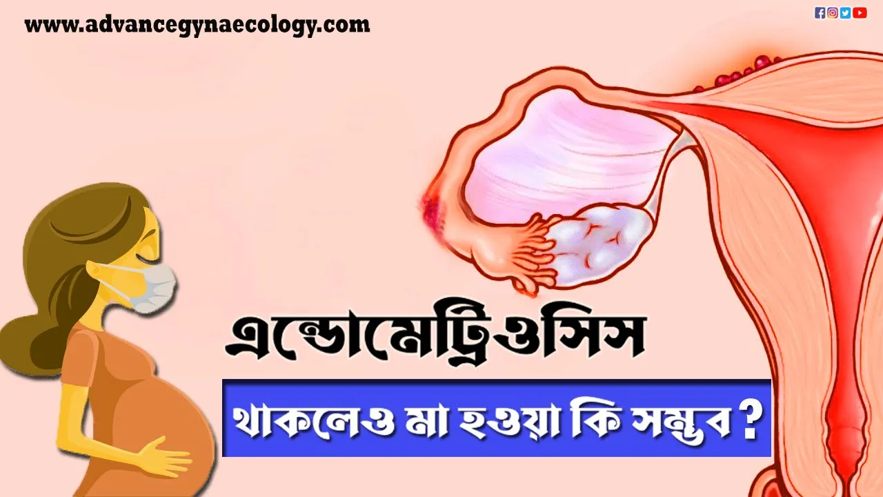 Sample Video